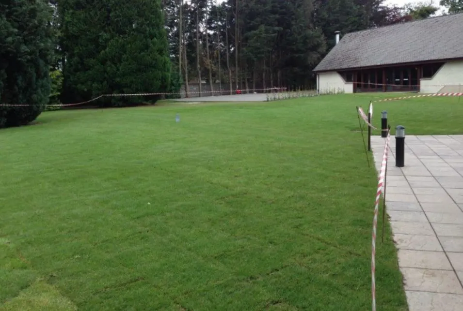 lawns & artificial grass Guildford — project 5